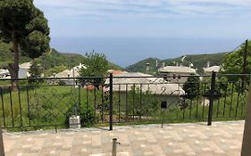 Elenis Vista Mare